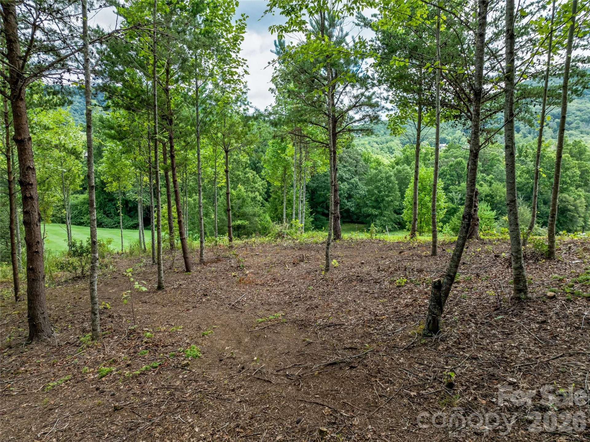 1822 Bella Vista Court #119 - Photo 24