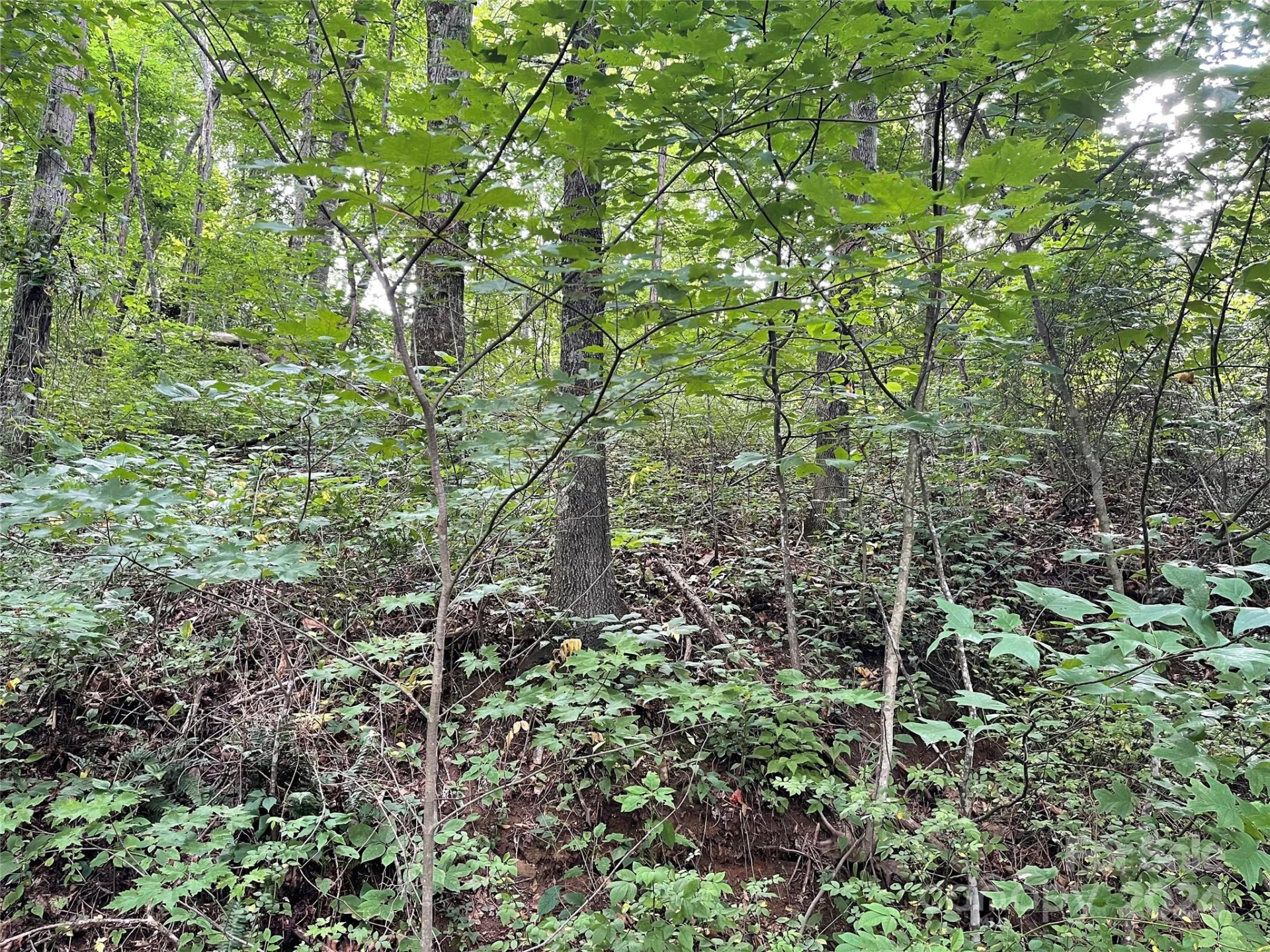 00 Friendly Acres Drive - Photo 12