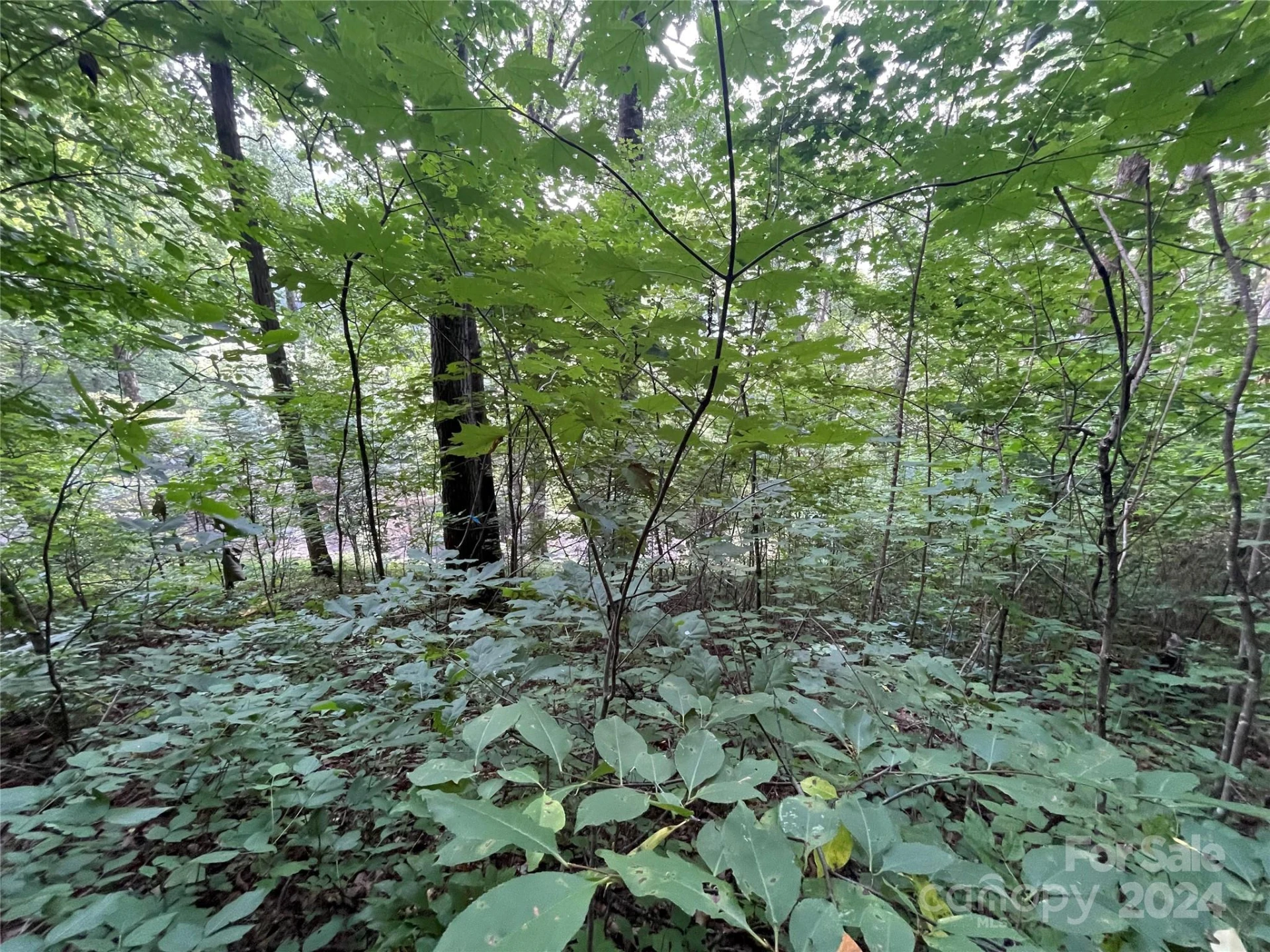 00 Friendly Acres Drive - Photo 24