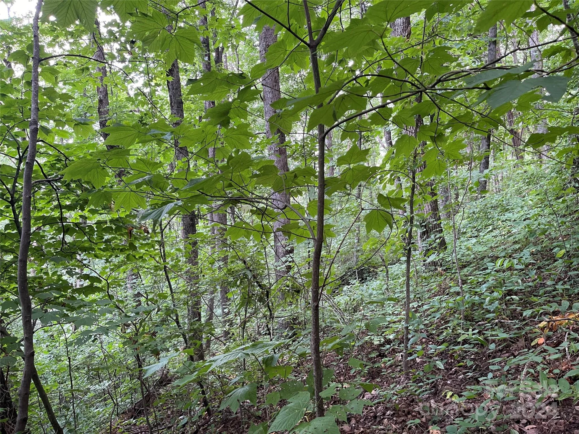 00 Friendly Acres Drive - Photo 26