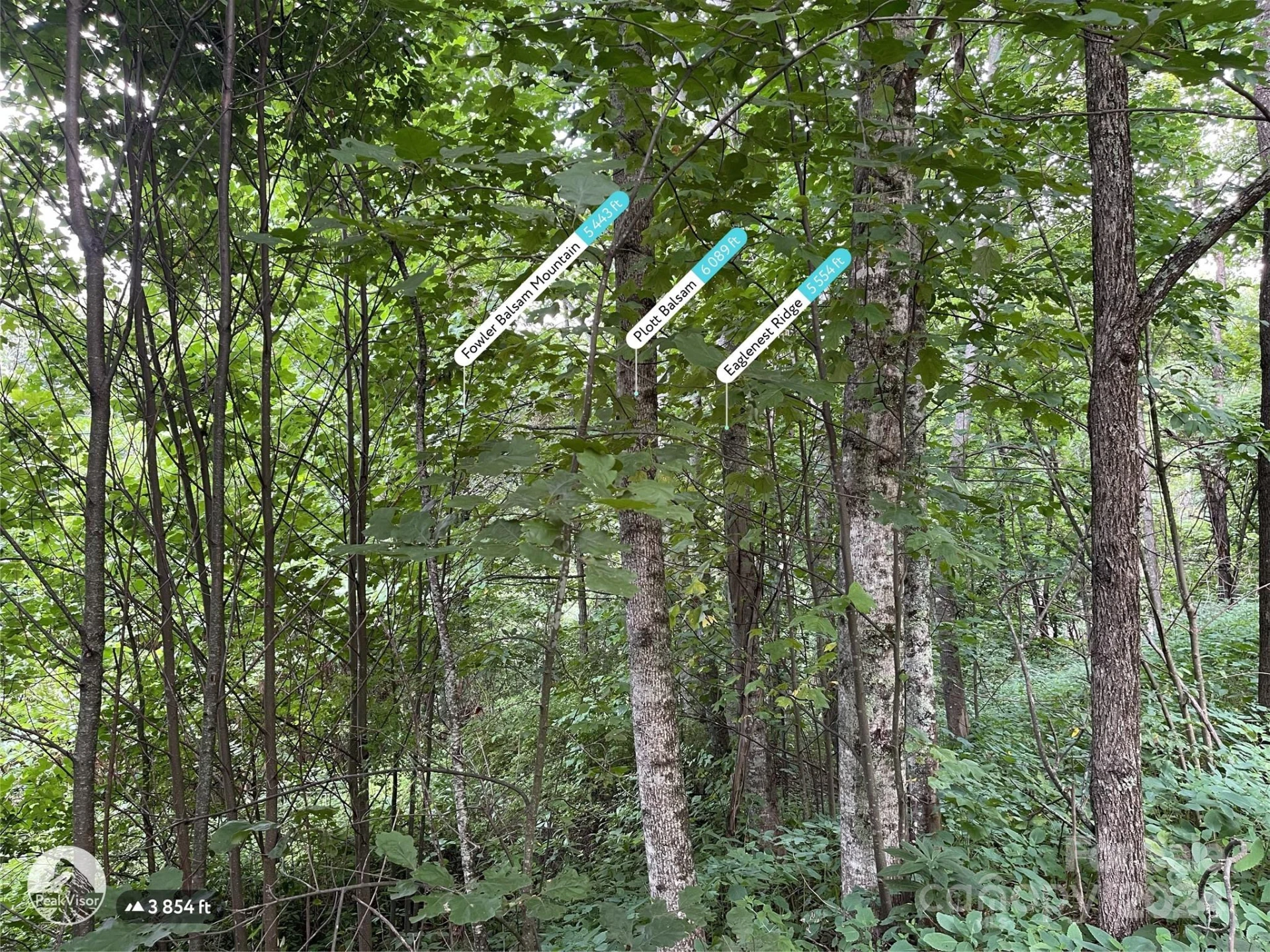 00 Friendly Acres Drive - Photo 35