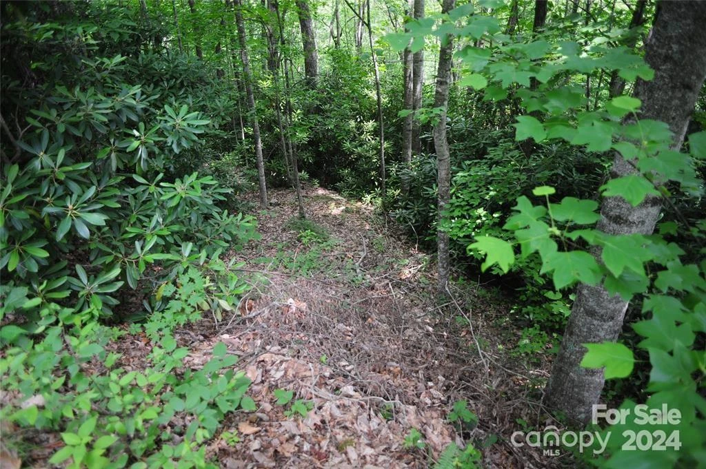 17 Wood Haven Lane #111 - Photo 3