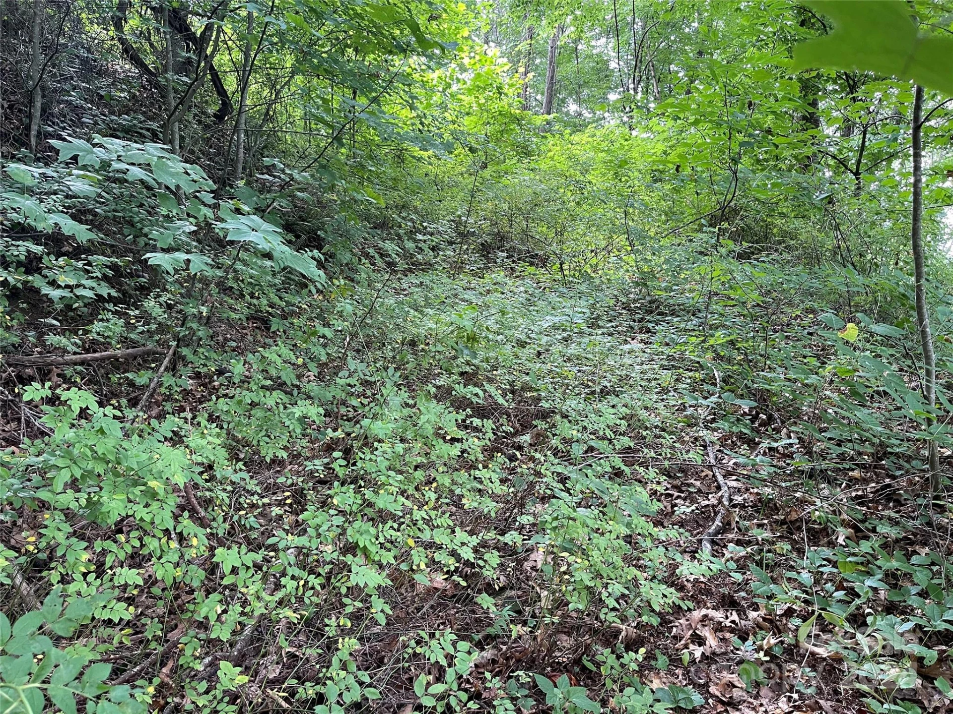 TBD Friendly Acres Drive - Photo 11