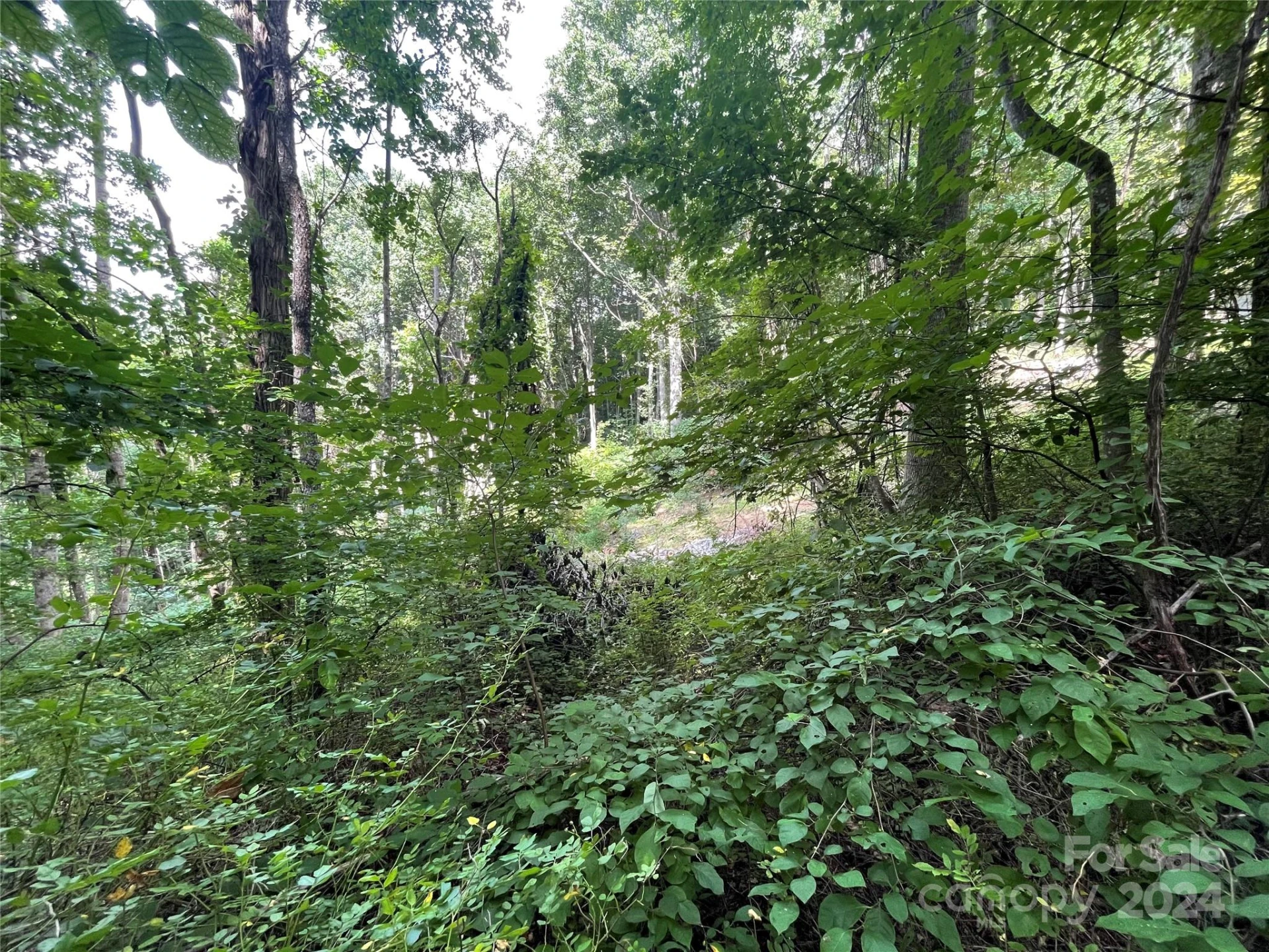 TBD Friendly Acres Drive - Photo 12
