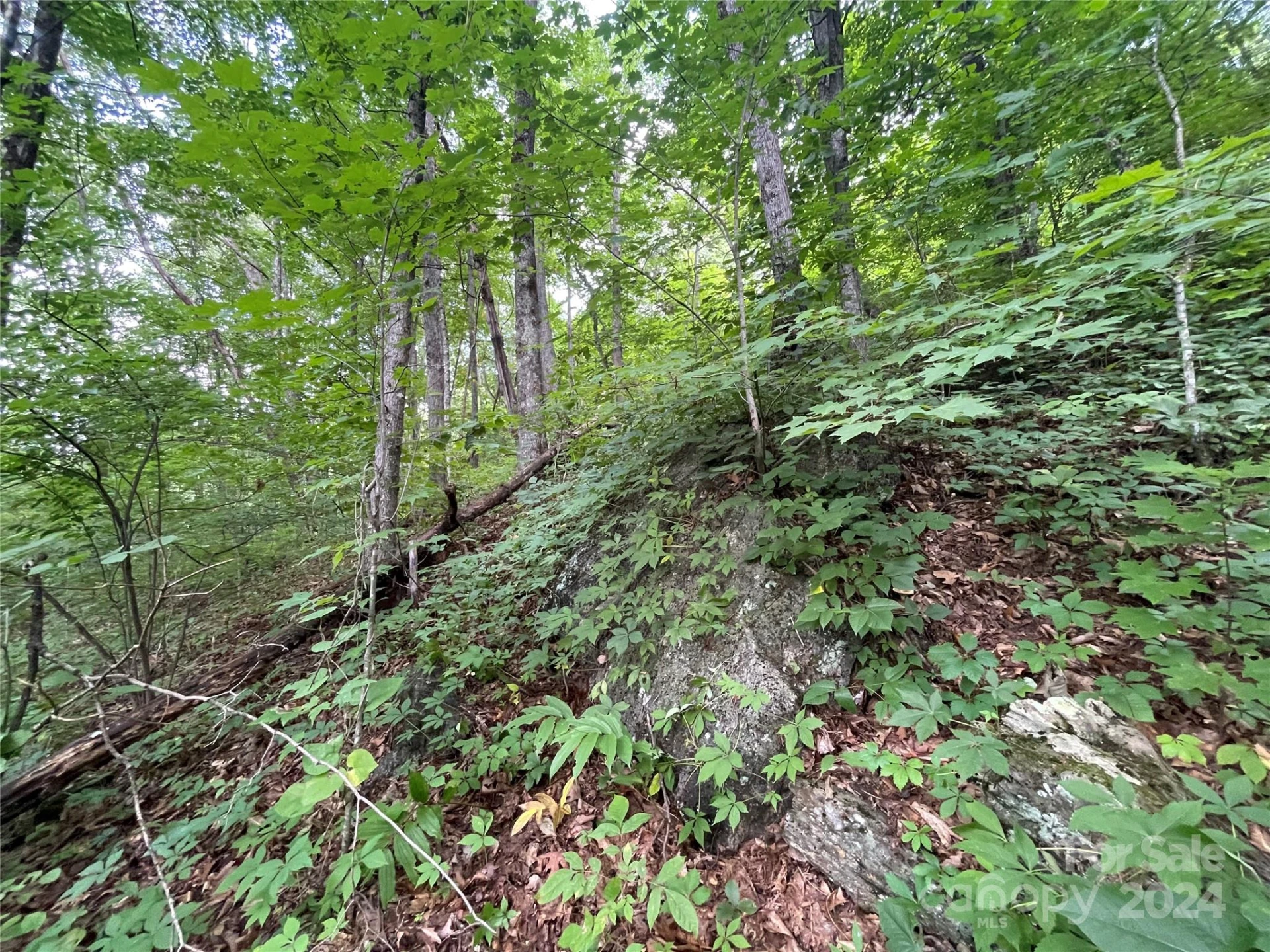 TBD Friendly Acres Drive - Photo 19