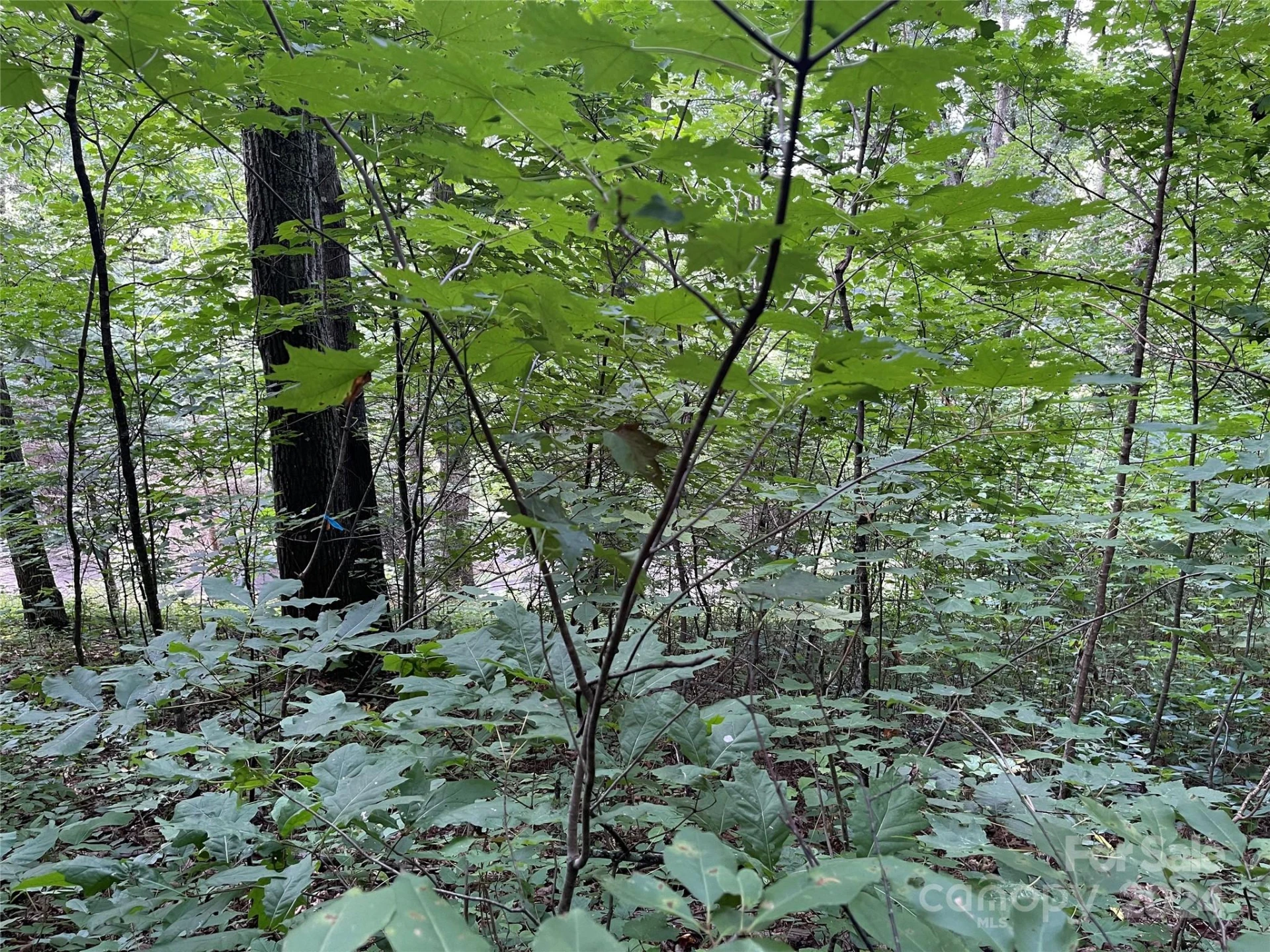 TBD Friendly Acres Drive - Photo 23