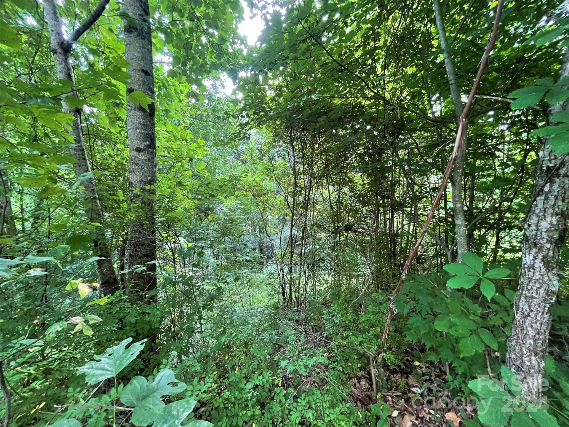 TBD Friendly Acres Drive - Photo 29