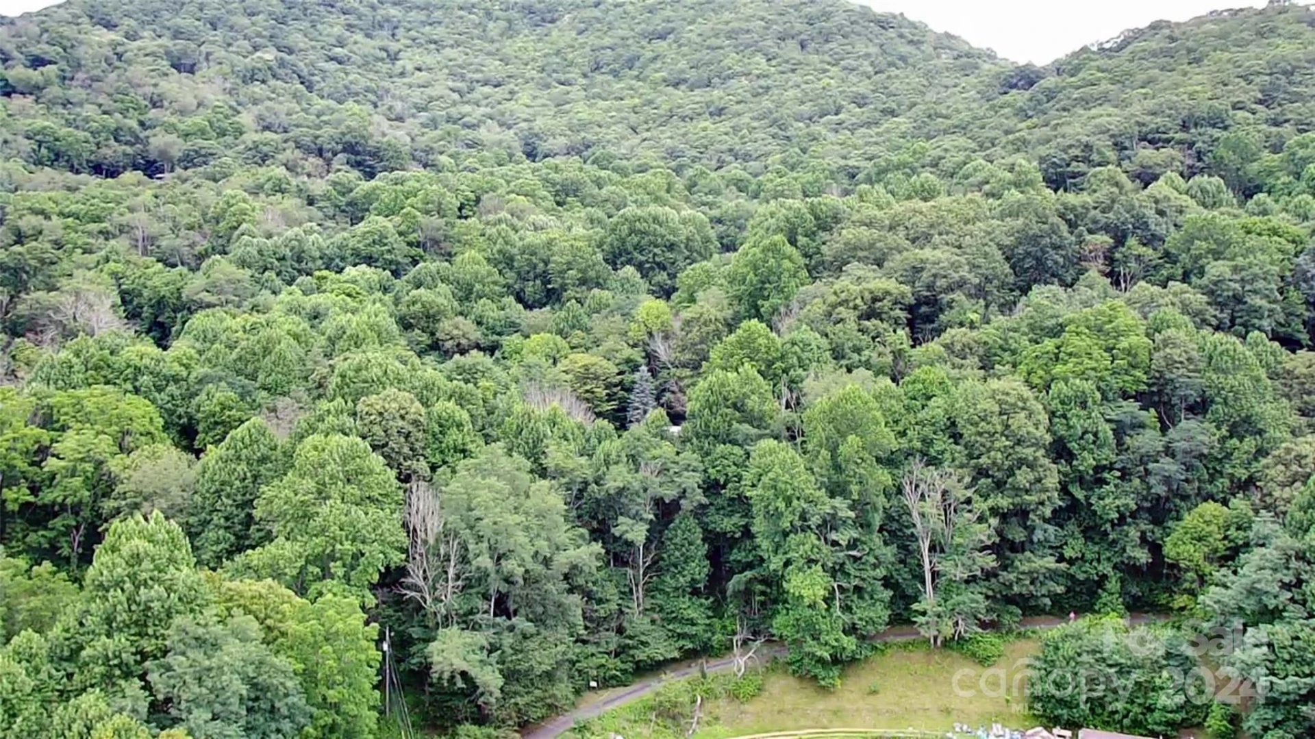 TBD Friendly Acres Drive - Photo 4