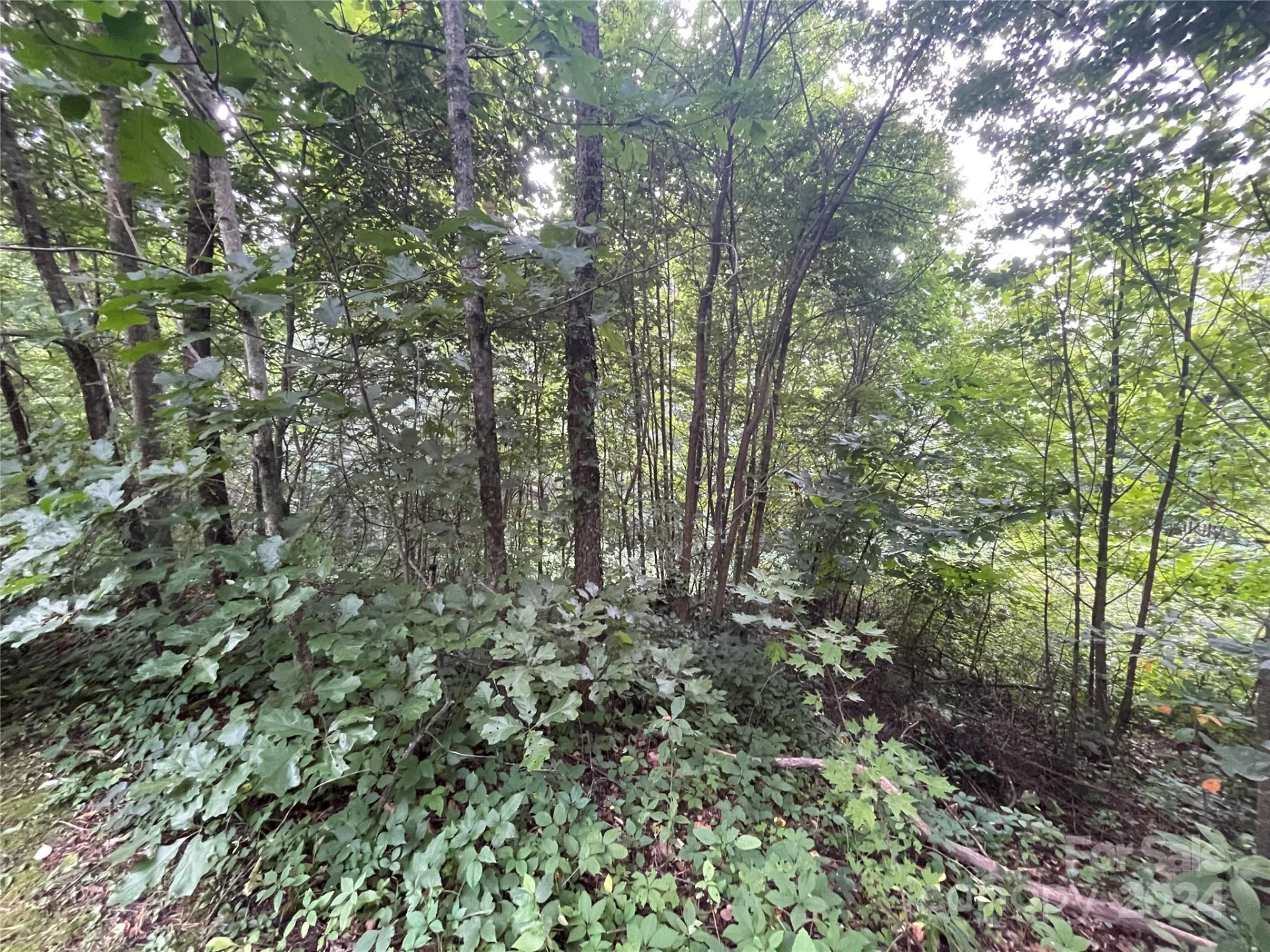 TBD Friendly Acres Drive - Photo 8
