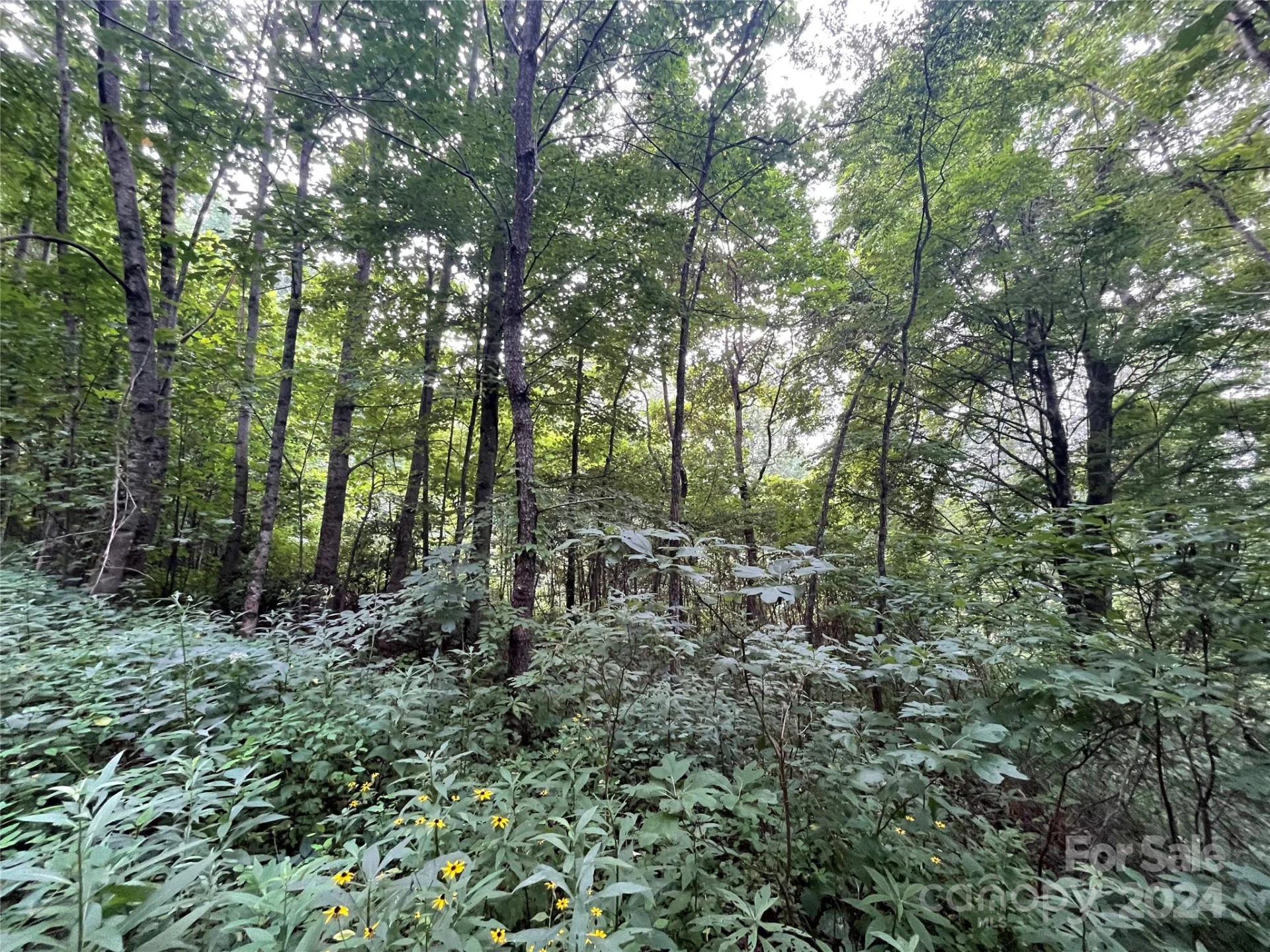 TBD Friendly Acres Drive - Photo 9