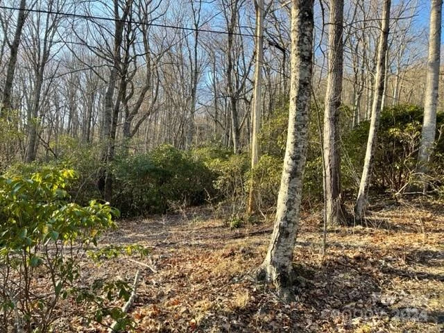 0 E Poplar Lane #25