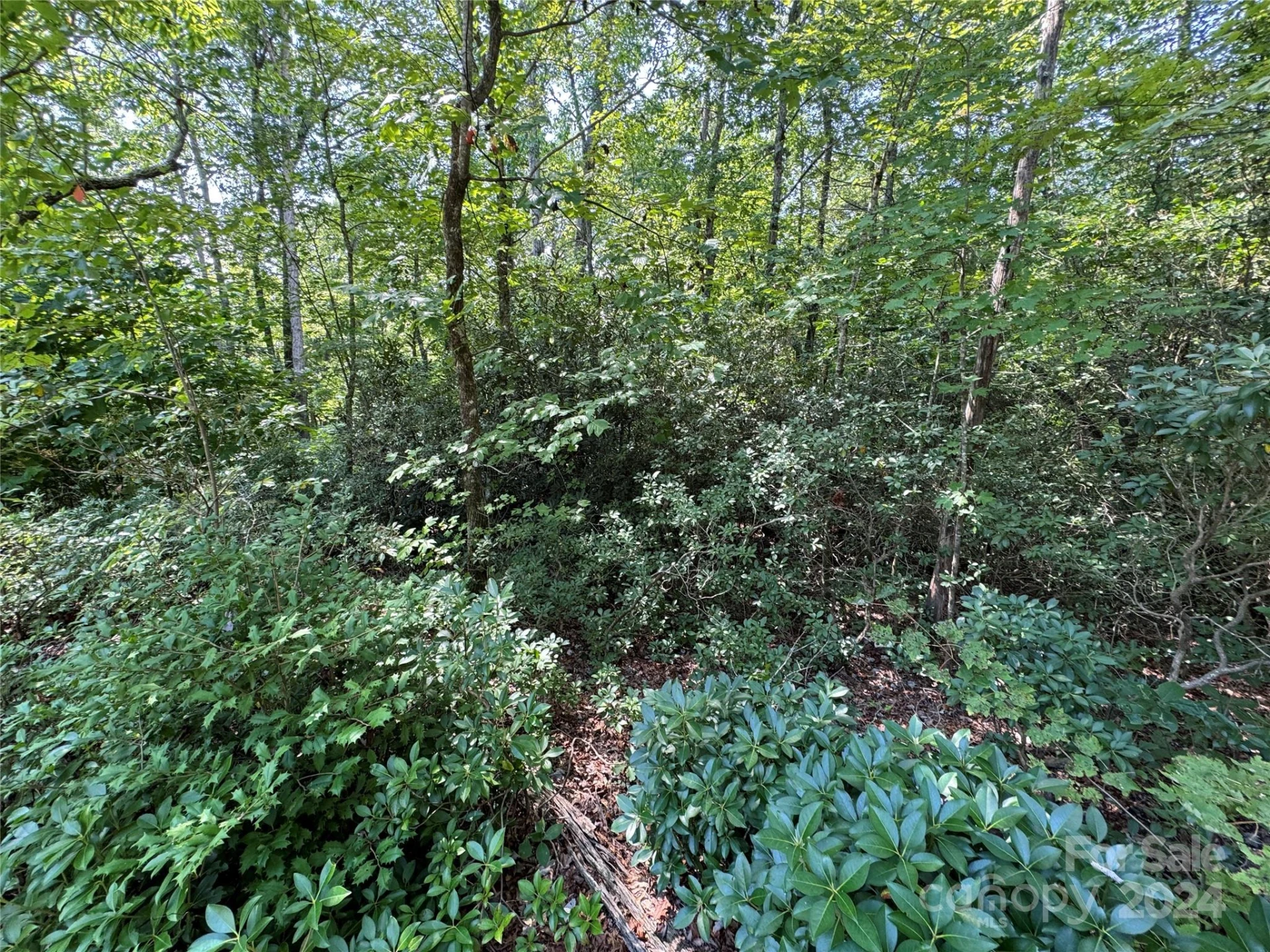 63 Cherry Cove Lane #3 - Photo 13