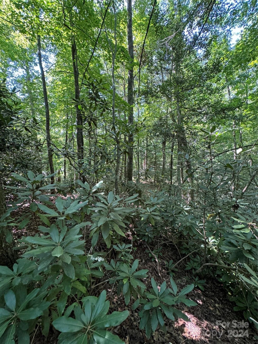 63 Cherry Cove Lane #3 - Photo 17