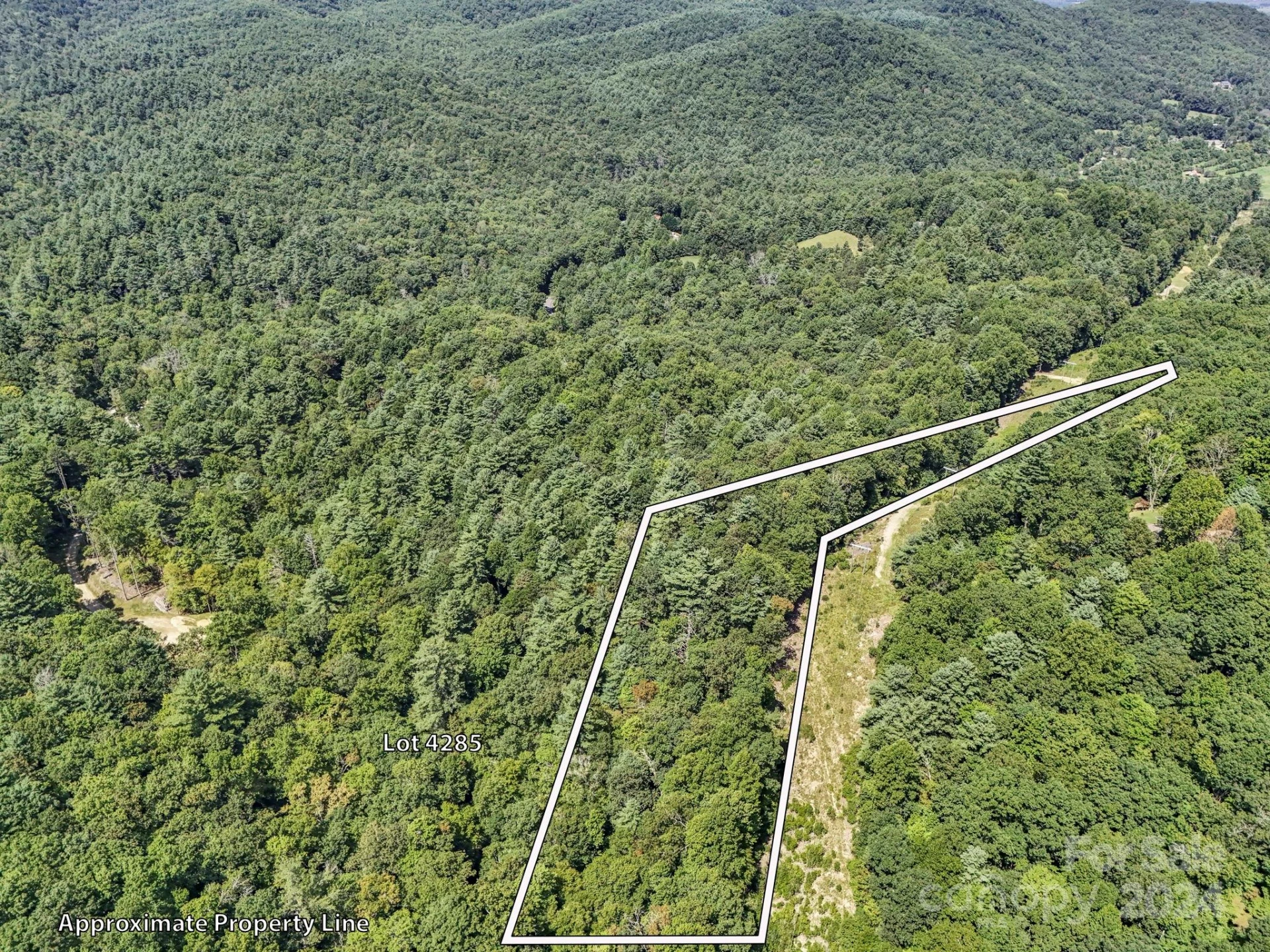 SR1196-A Evans Road - Photo 2