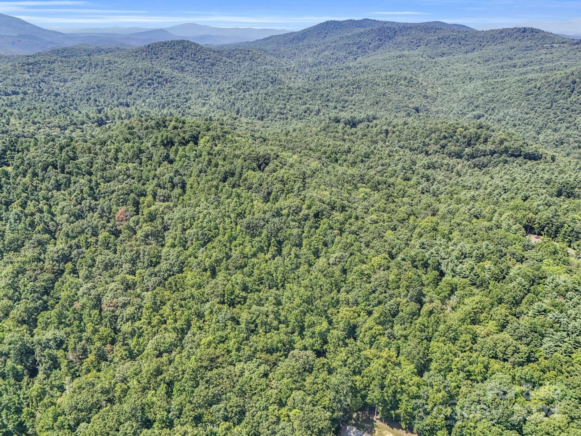 SR1196-B Evans Road - Photo 4