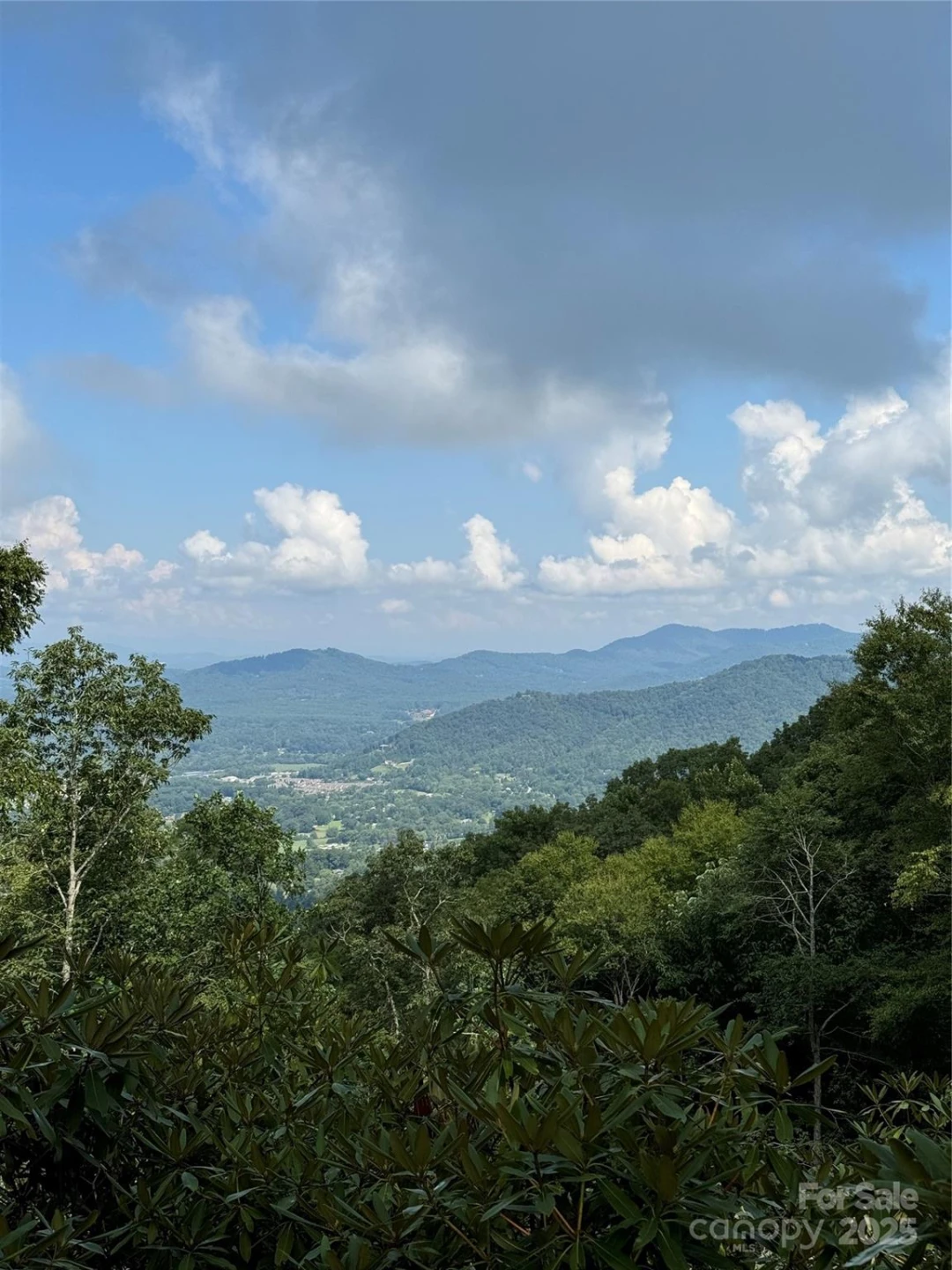 0000 West Garden Trail #Lot 63 - Photo 3
