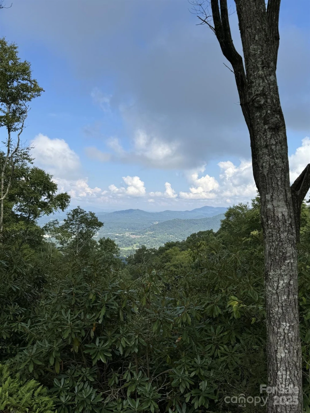 0000 West Garden Trail #Lot 63 - Photo 4