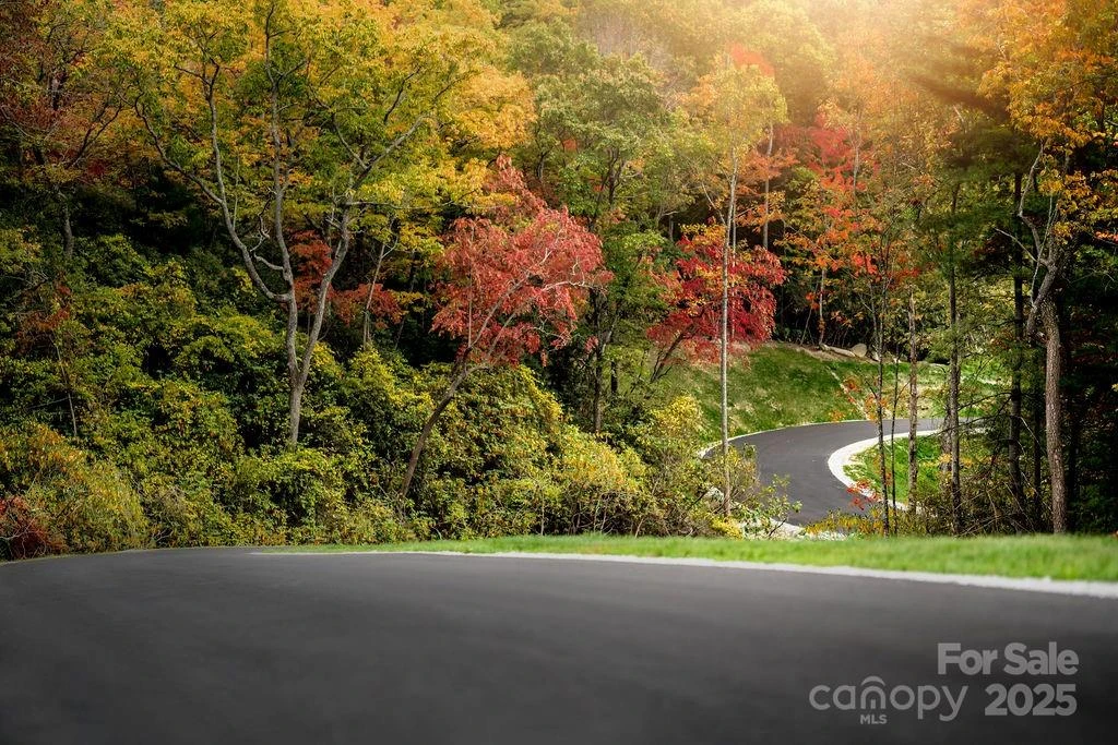 0000 West Garden Trail #Lot 63 - Photo 8