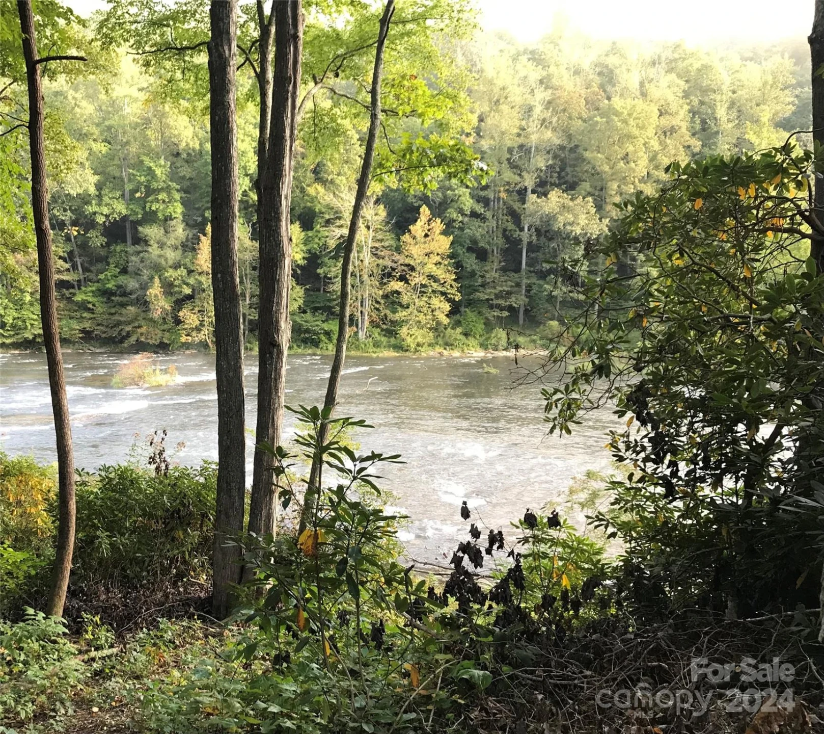17 Harleys Cove Road #17 - Photo 3