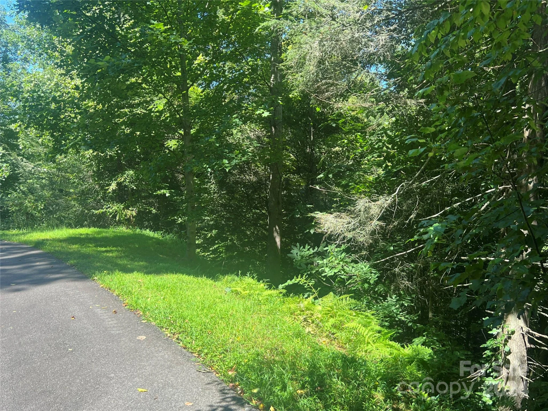 17 Harleys Cove Road #17 - Photo 5