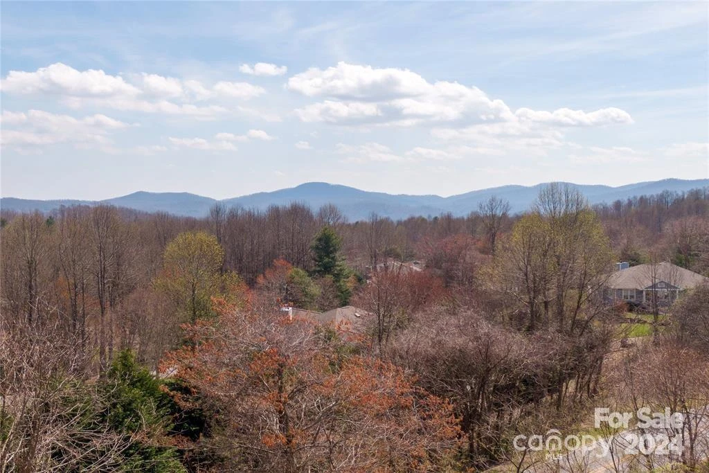 000 BERRY CREEK Drive - Photo 3
