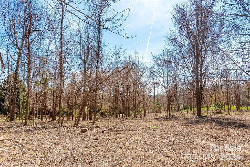 000 BERRY CREEK Drive - Photo 4