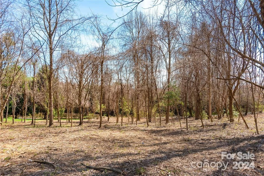 000 BERRY CREEK Drive - Photo 6