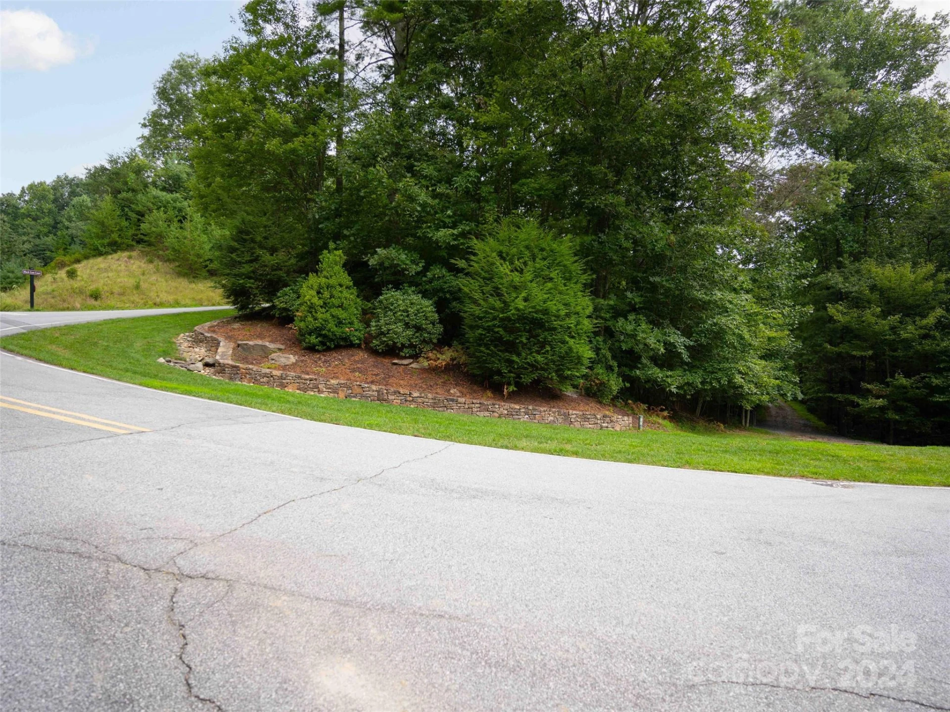 700 Blackgum Court #344 - Photo 5