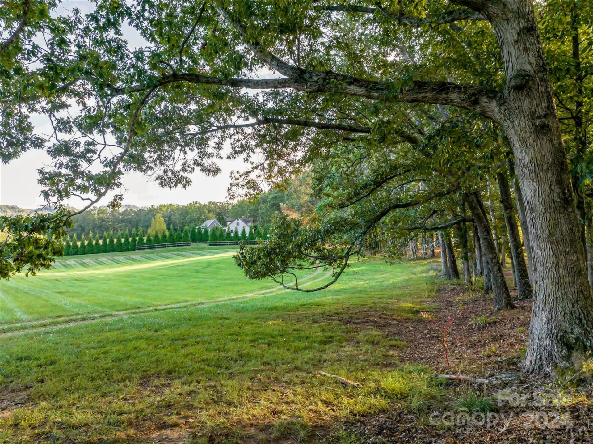 337 Chukar Way #Lot 21 - Photo 9