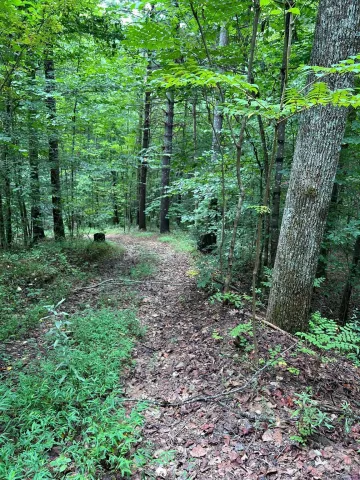 645 Tunnel Road