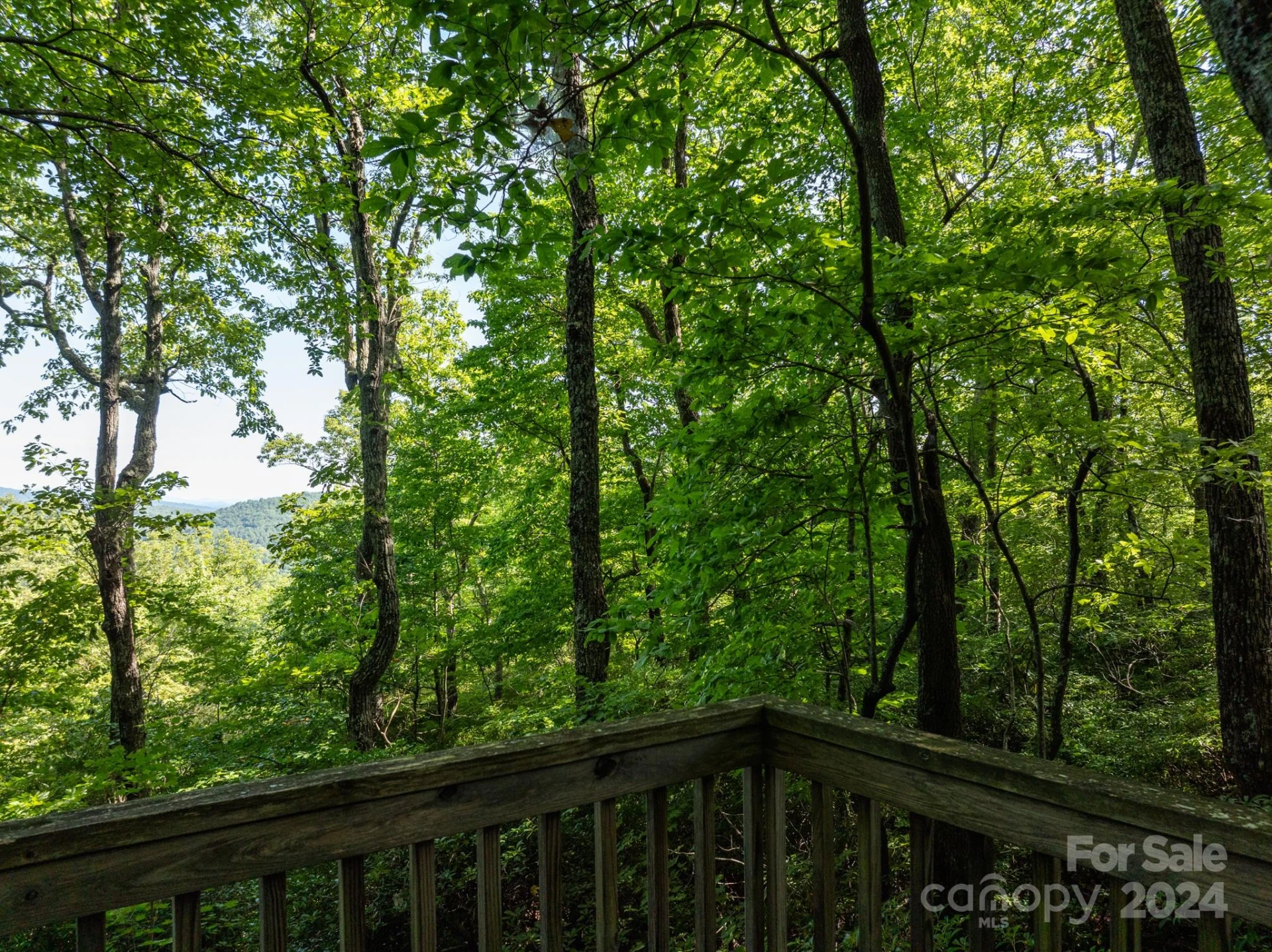 Lot 25 Panther Mountain Road #CVN-CVN-025 - Photo 4