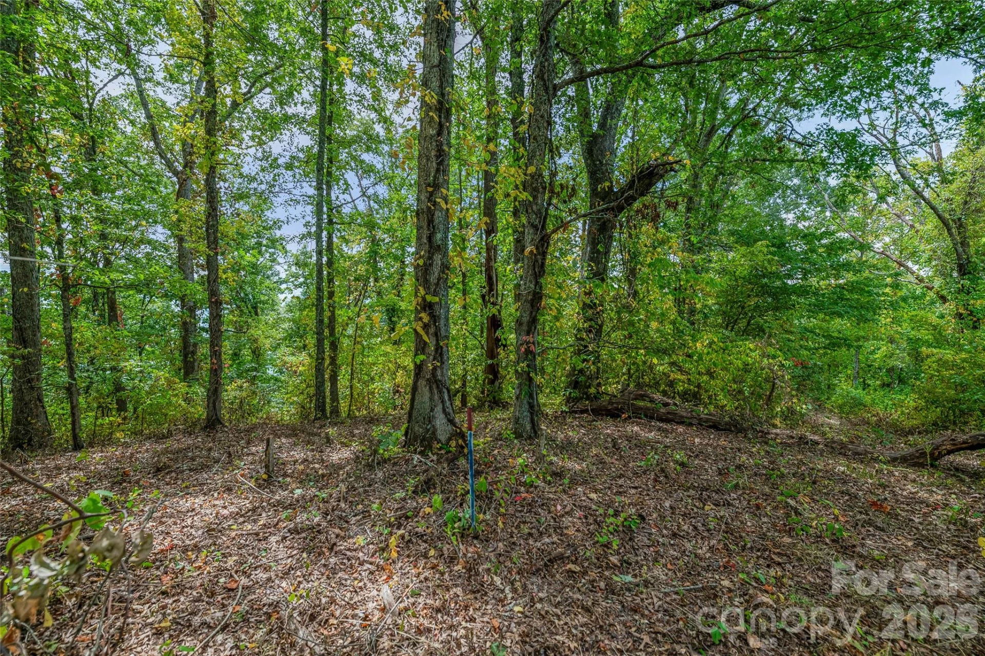 1380 Seven Glens Drive - Photo 7