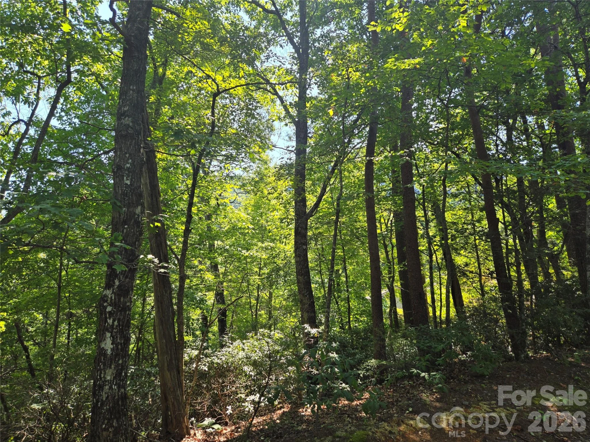 Lot 152 Sullivan Lane - Photo 5