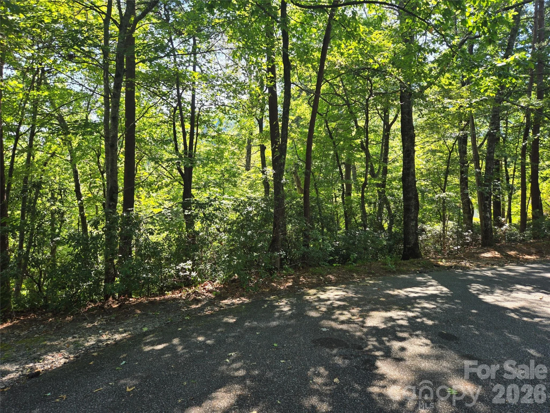 Lot 152 Sullivan Lane - Photo 6