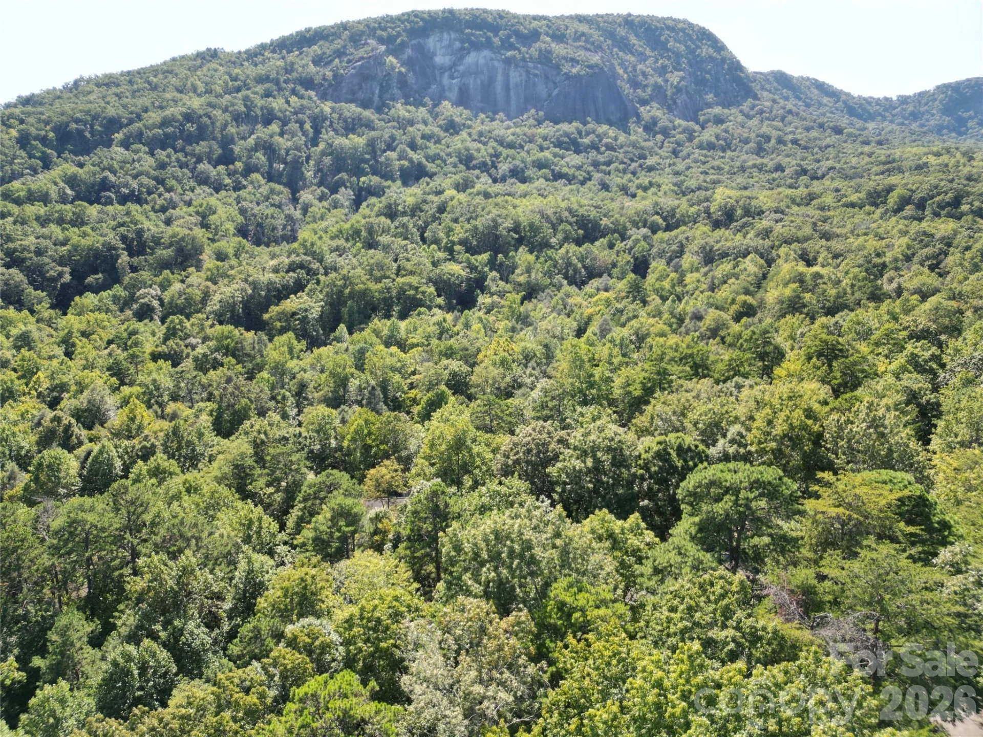 Lot 152 Sullivan Lane - Photo 7