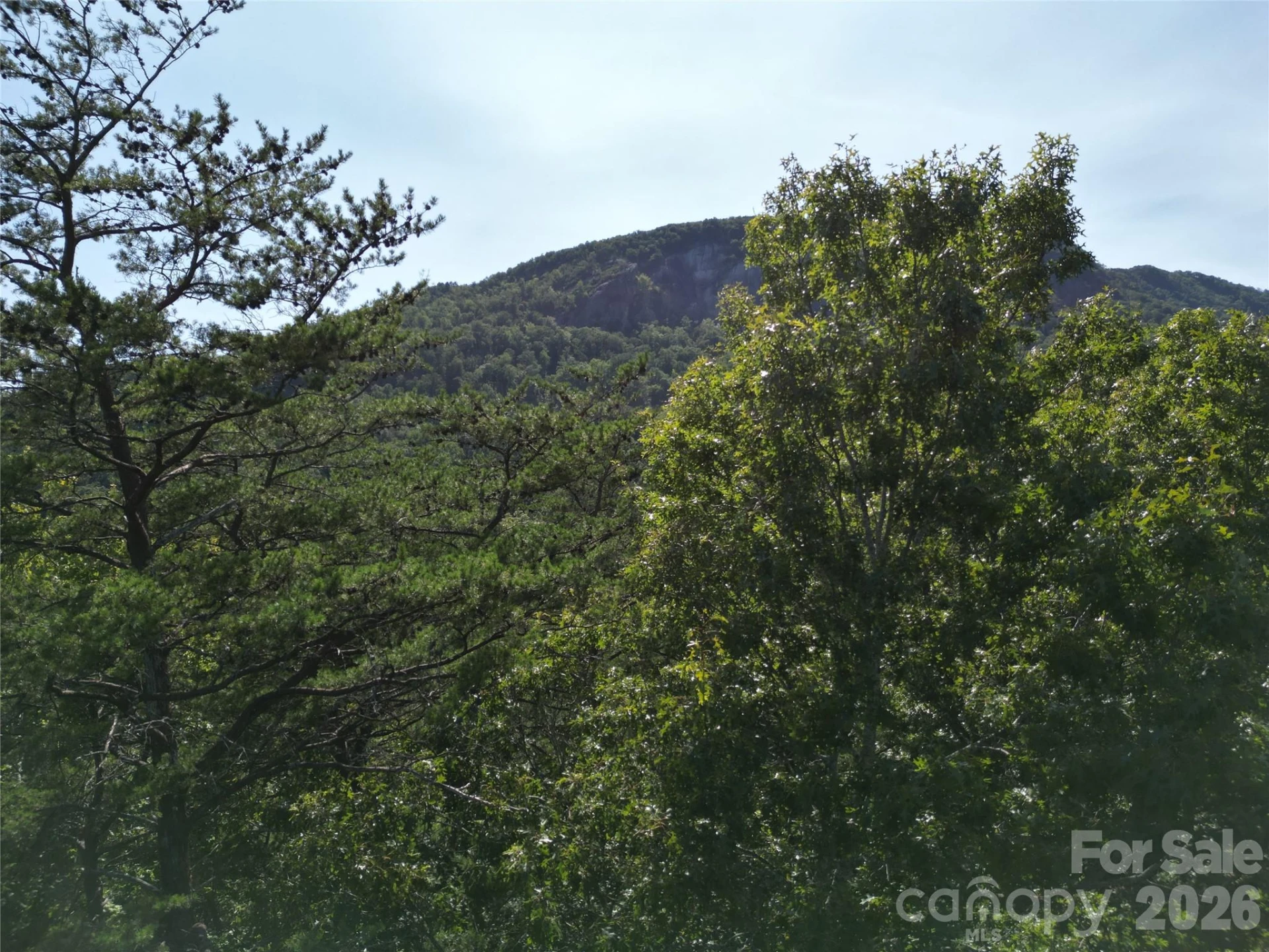 Lot 152 Sullivan Lane - Photo 9