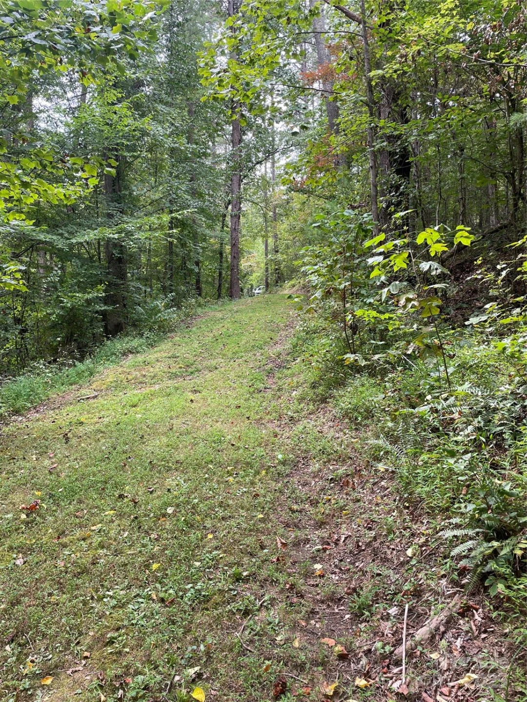 99999 Monticello Road - Photo 5