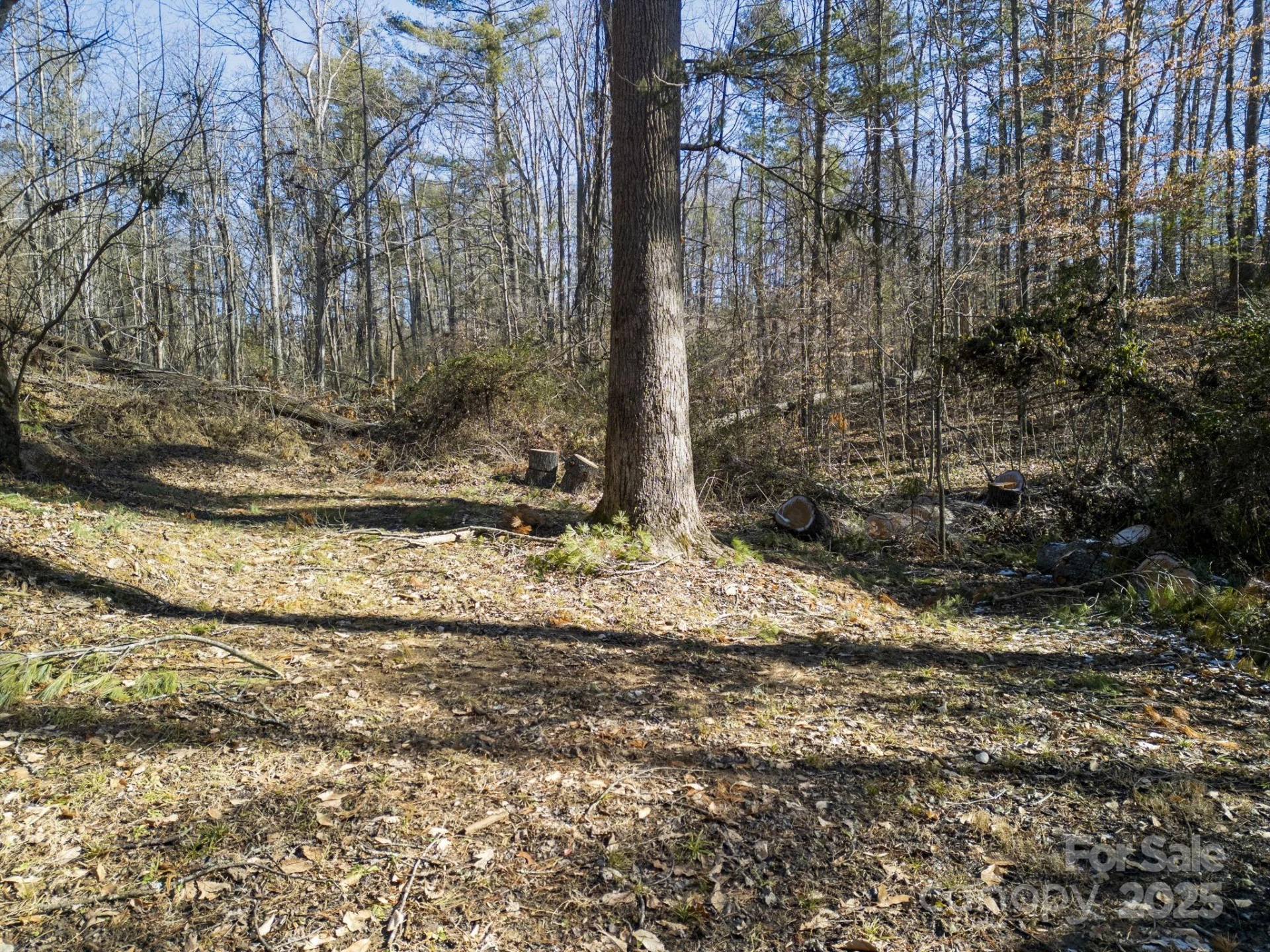 99999 Monticello Road - Photo 9
