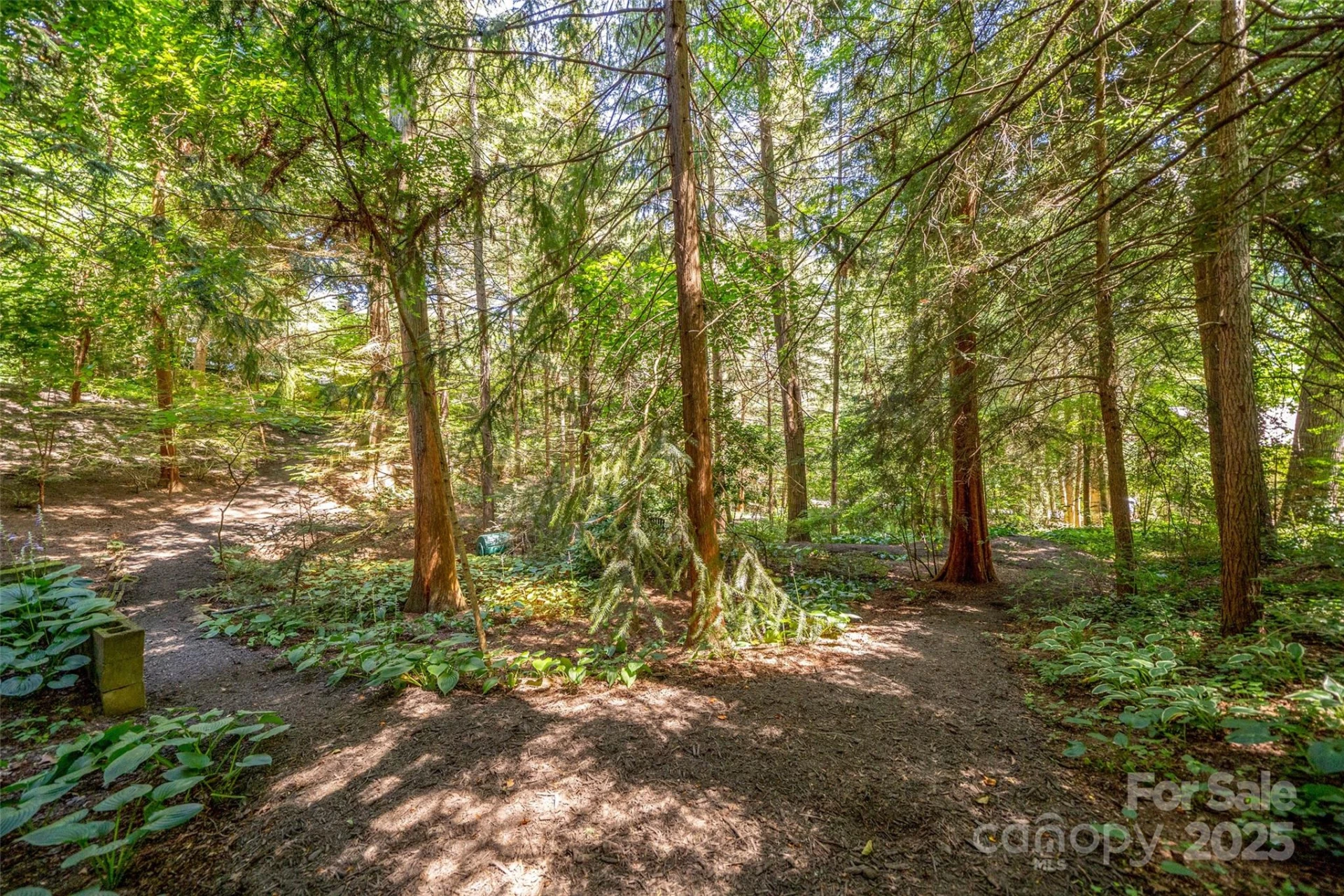 108 Lakewood Drive - Photo 81