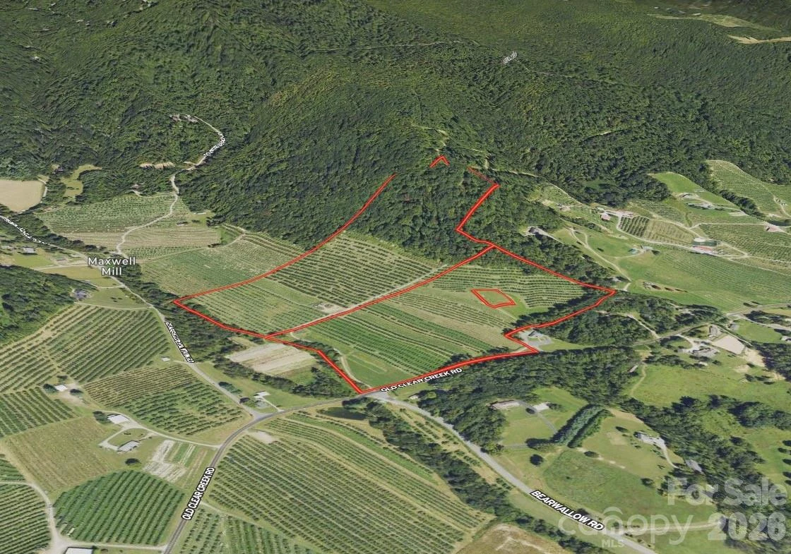TBD Old Clear Creek Road - Photo 6