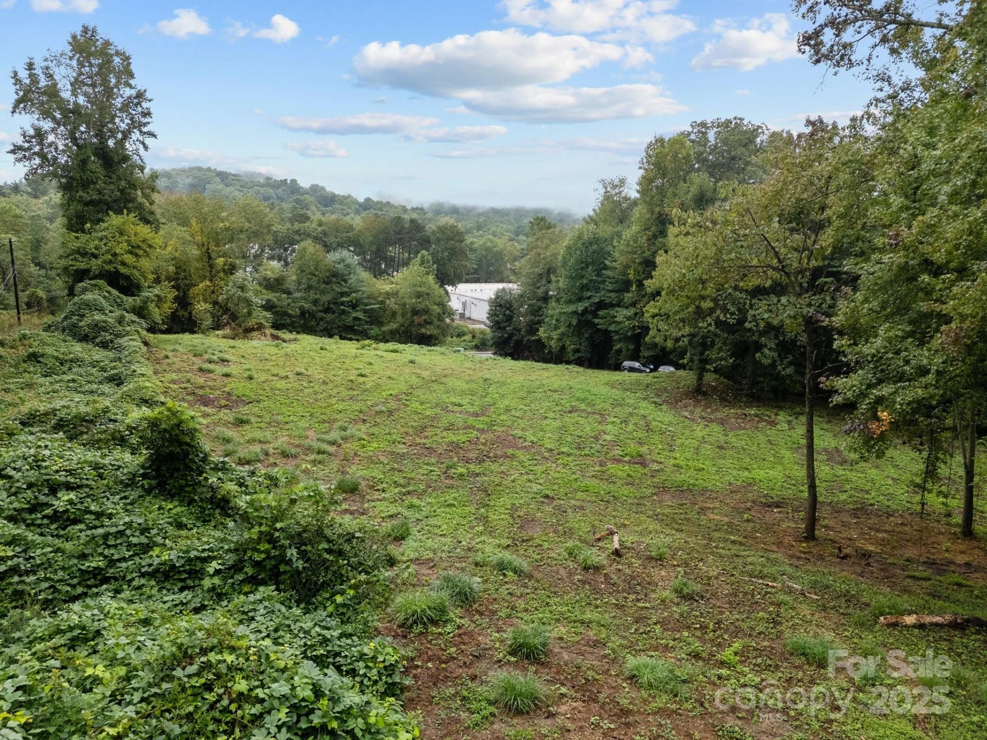 1945 Hendersonville Road - Photo 7