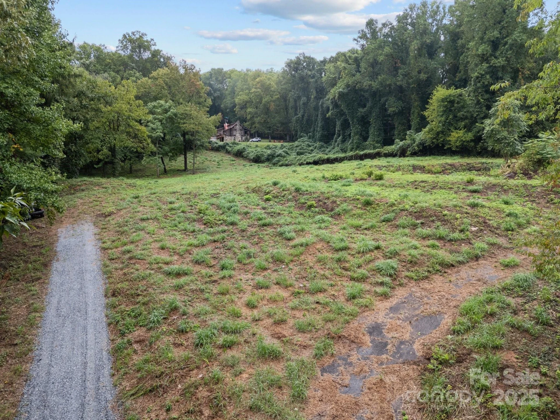 1945 Hendersonville Road - Photo 4