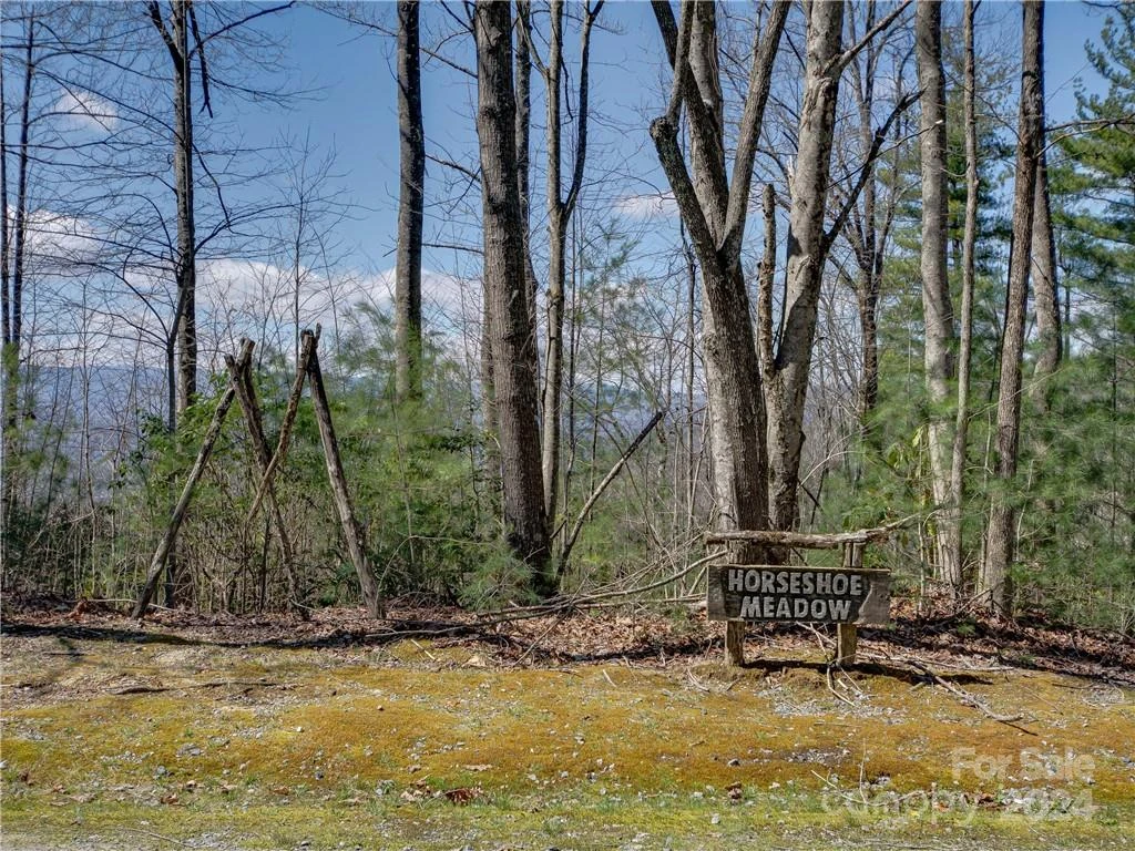 8B Reserve Road - Photo 2