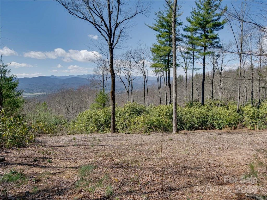 8B Reserve Road - Photo 3