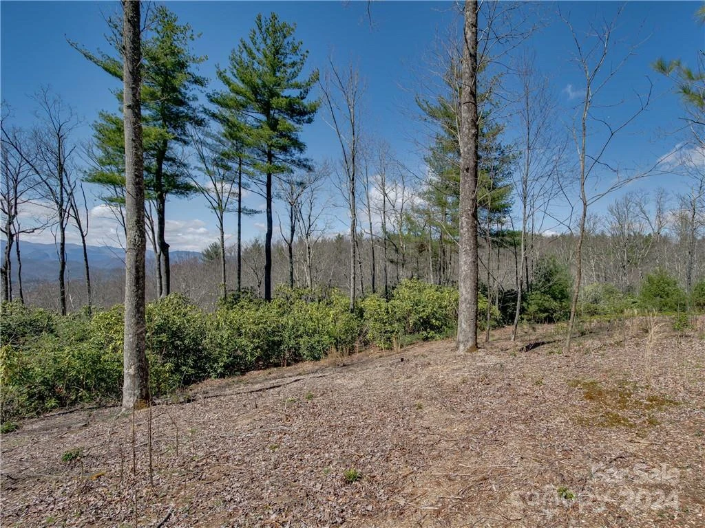 8B Reserve Road - Photo 4
