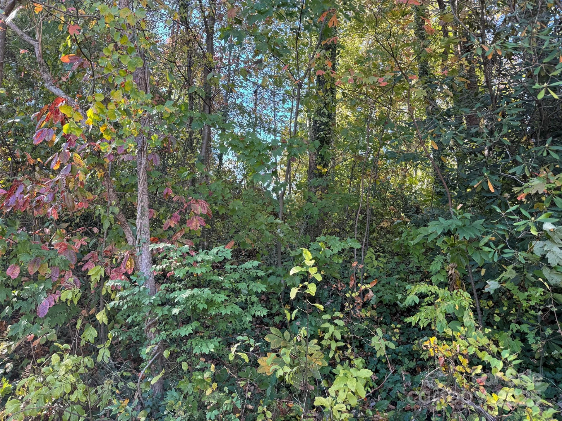 00 Upper Ridgewood Boulevard - Photo 3