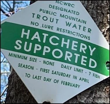 0 Big Hungry Road #5.24 - Photo 8