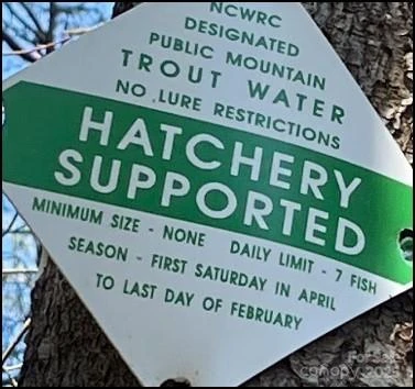 0 Big Hungry Road #5.24 - Photo 12
