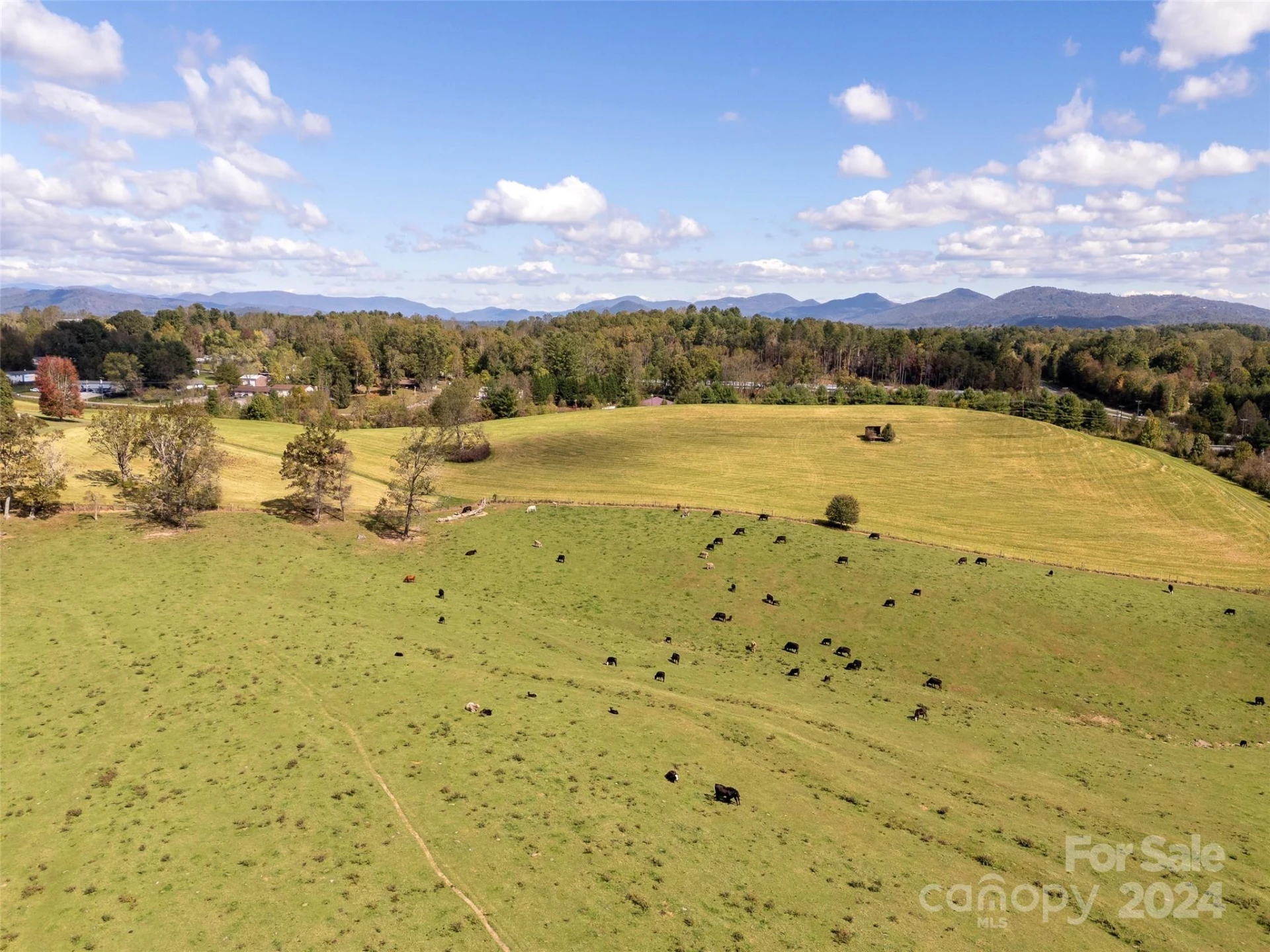182 N Mills River Road - Photo 12