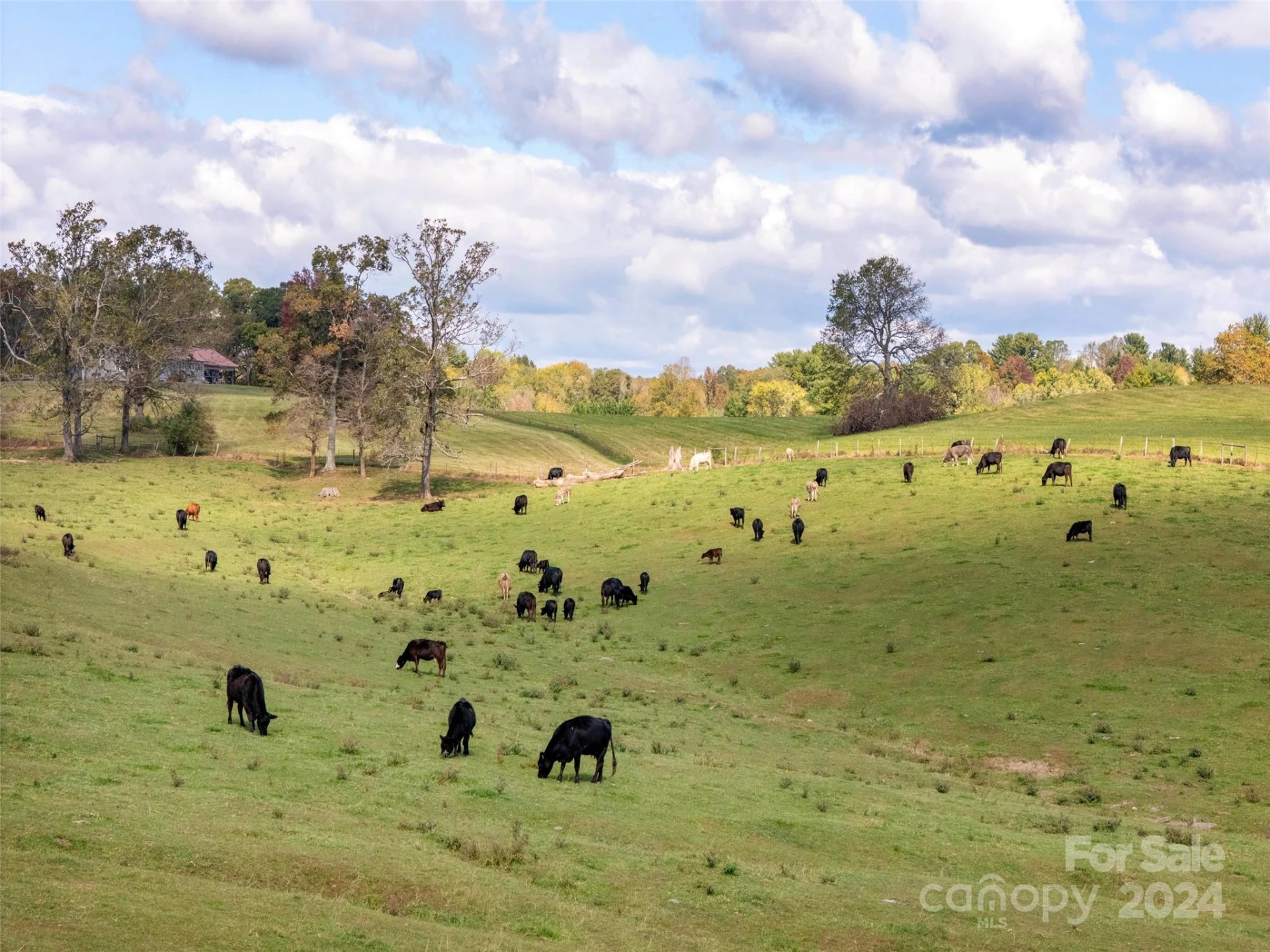 182 N Mills River Road - Photo 15